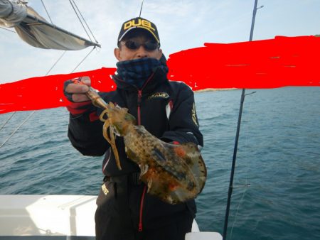 きずなまりん 釣果