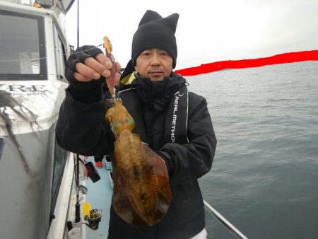 きずなまりん 釣果