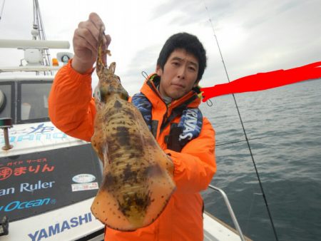 きずなまりん 釣果