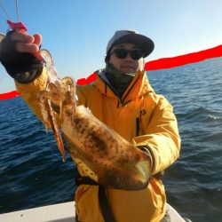 きずなまりん 釣果