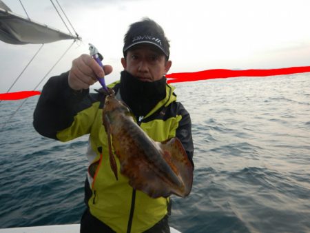 きずなまりん 釣果