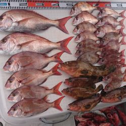 遊漁船 家入 釣果