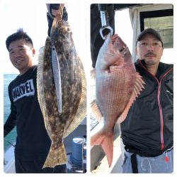 ビッグファイター 釣果