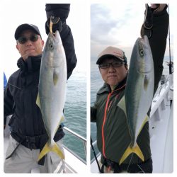 ビッグファイター 釣果