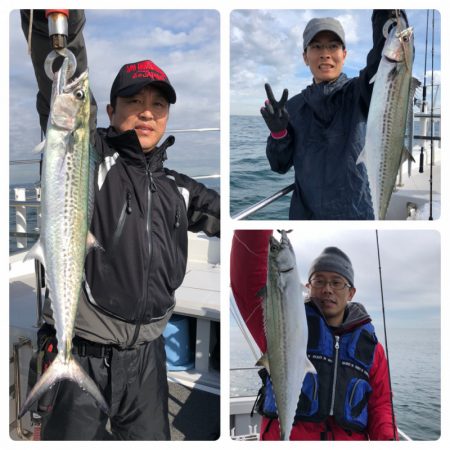 ビッグファイター 釣果