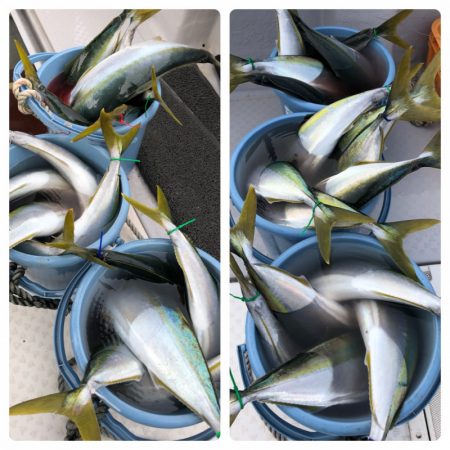 ビッグファイター 釣果