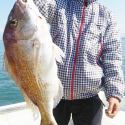 マリンガイド福丸 釣果