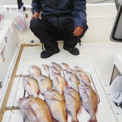 マリンガイド福丸 釣果