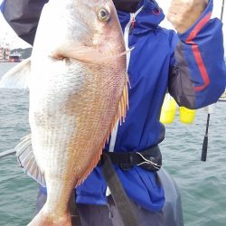 マリンガイド福丸 釣果