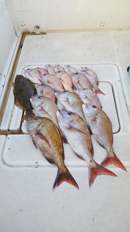マリンガイド福丸 釣果