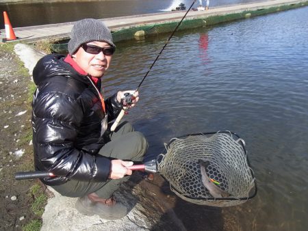 平谷湖フィッシングスポット 釣果