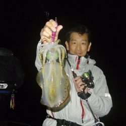 South Current 釣果