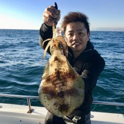 South Current 釣果