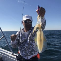 South Current 釣果