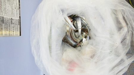 マリンガイド福丸 釣果