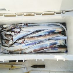 マリンガイド福丸 釣果