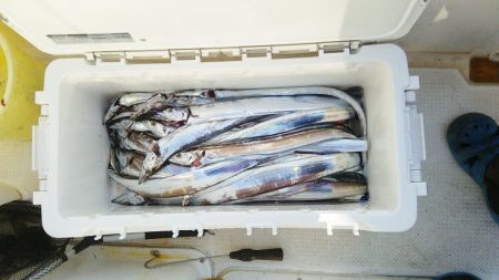 マリンガイド福丸 釣果