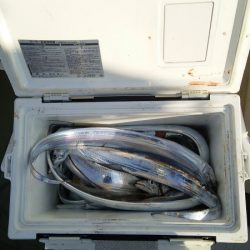 マリンガイド福丸 釣果