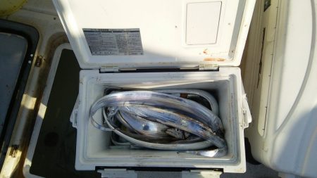 マリンガイド福丸 釣果