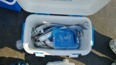 マリンガイド福丸 釣果