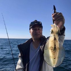 South Current 釣果