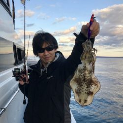 South Current 釣果