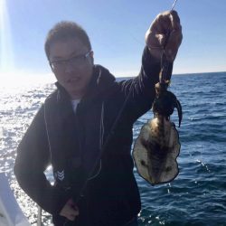 South Current 釣果