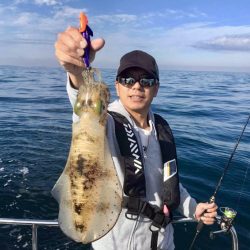 South Current 釣果