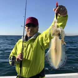 South Current 釣果