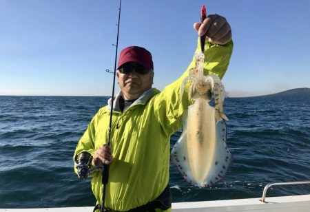 South Current 釣果