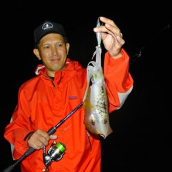 South Current 釣果