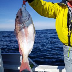 ひな丸 釣果