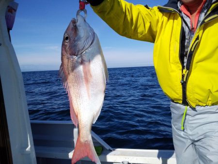ひな丸 釣果