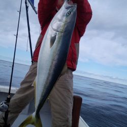 ひな丸 釣果