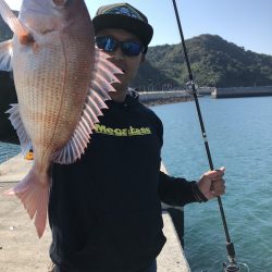 愛媛県・松山沖、離島フィッシング【ピッコロ氏連載 vol.5】