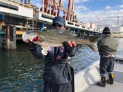 ＮＡＧＡＳＨＩＭA ＭＡＲＵ（永島丸） 釣果