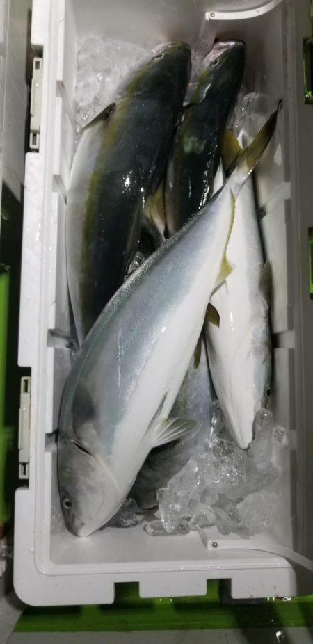 ゆたか丸 釣果