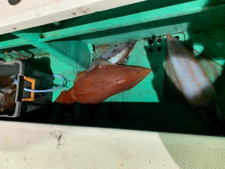第三むつりょう丸 釣果