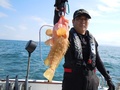 釣船 キティ 釣果