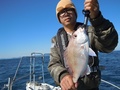 釣船　キティ 釣果