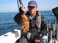 釣船　キティ 釣果