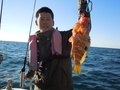 釣船　キティ 釣果