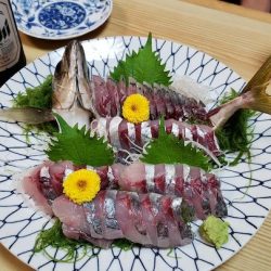 ビシアジ釣りで出船、良型のアジに大満足！ 神奈川・走水の広川丸【すな氏連載 vol.5】