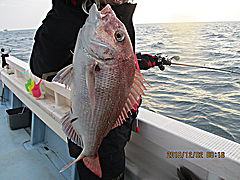 遊漁船 未紗奈 釣果