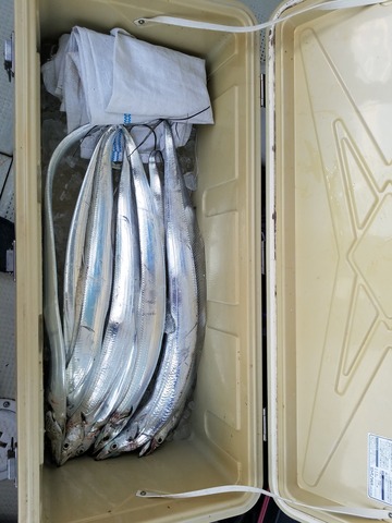 遊漁船　ニライカナイ 釣果