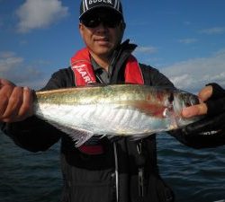 美咲丸 釣果