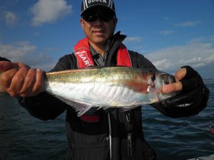 美咲丸 釣果