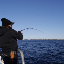 松鶴丸 釣果