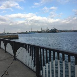 武豊緑地は平和