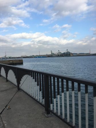 武豊緑地は平和